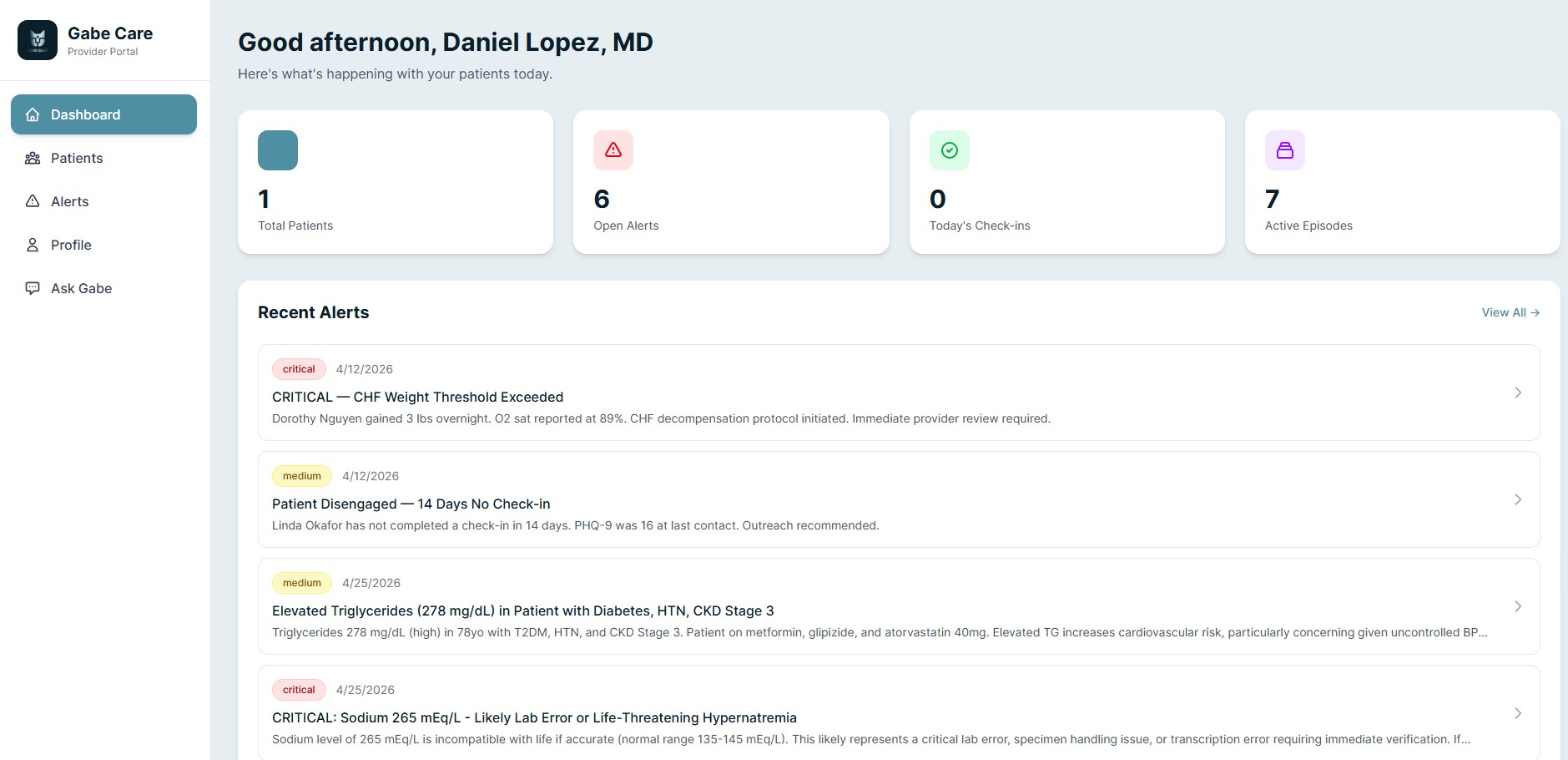 Gabe Care provider dashboard preview